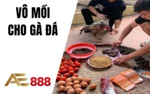 Đá Gà AE888 - Sân Chơi Đá Gà Trực Tuyến Ăn Tiền Thật Uy Tín