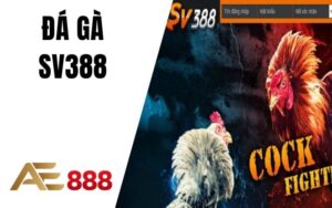 Tin Tức AE888 - Cập Nhật Các Thông Tin Mới Nhất Về Cá Cược