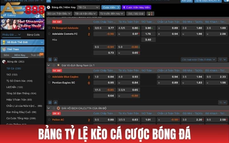 Cá Cược Bóng Đá - Luật Chơi Và Cách Đặt Cược Tại AE888 Cá Cược Bóng Đá - Luật Chơi Và Cách Đặt Cược Tại AE888