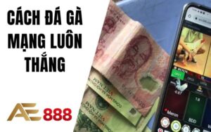 Đá Gà AE888 - Sân Chơi Đá Gà Trực Tuyến Ăn Tiền Thật Uy Tín