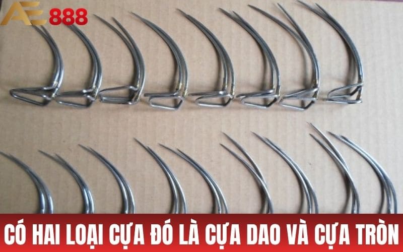 Cách Băng Cựa Gà Cực Chuẩn Dành Cho Sư Kê Cách Băng Cựa Gà Cực Chuẩn Dành Cho Sư Kê