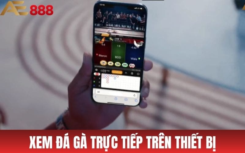 Trực Tiếp Đá Gà AE888 - Xem Đá Gà Cựa Sắt, Cựa Dao, Gà Đòn Trực Tiếp Đá Gà AE888 - Xem Đá Gà Cựa Sắt, Cựa Dao, Gà Đòn