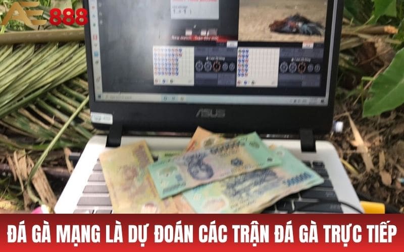 Cách Đá Gà Mạng - Mẹo Chơi Ăn Tiền Cực Dễ Từ AE888 Cách Đá Gà Mạng - Mẹo Chơi Ăn Tiền Cực Dễ Từ AE888