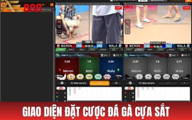 Đá Gà Cựa Sắt AE888 - Hướng Dẫn Đặt Cược Dễ Dàng Đá Gà Cựa Sắt AE888 - Hướng Dẫn Đặt Cược Dễ Dàng