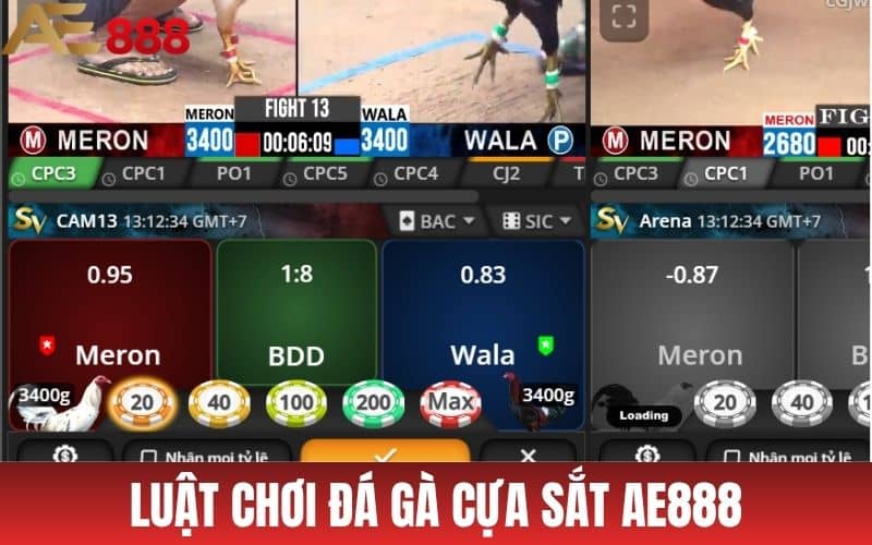 Đá Gà Cựa Sắt AE888 - Hướng Dẫn Đặt Cược Dễ Dàng Đá Gà Cựa Sắt AE888 - Hướng Dẫn Đặt Cược Dễ Dàng