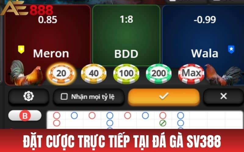 Đá Gà SV388 - Nền Tảng Cung Cấp Đá Gà Trực Tuyến Hàng Đầu