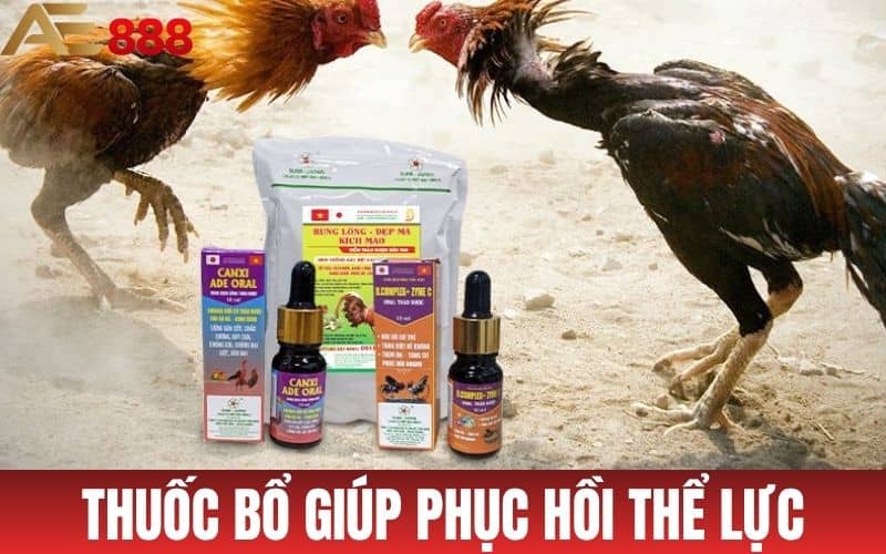 Tổng Hợp Những Loại Thuốc Bổ Cho Gà Đá Tốt Nhất Tổng Hợp Những Loại Thuốc Bổ Cho Gà Đá Tốt Nhất