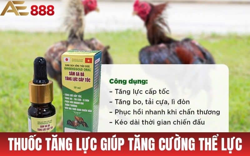 Tổng Hợp Những Loại Thuốc Bổ Cho Gà Đá Tốt Nhất Tổng Hợp Những Loại Thuốc Bổ Cho Gà Đá Tốt Nhất